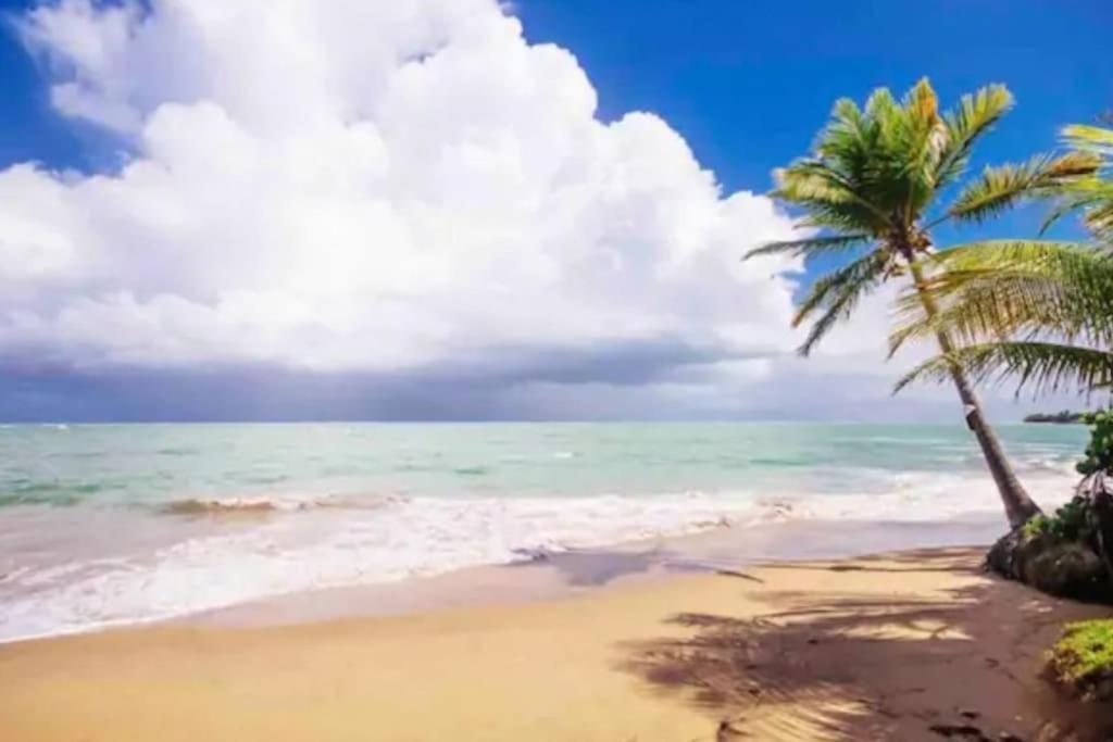 Fall In Love To Endless Summer. Charm And Private Apartment Loiza Exterior photo